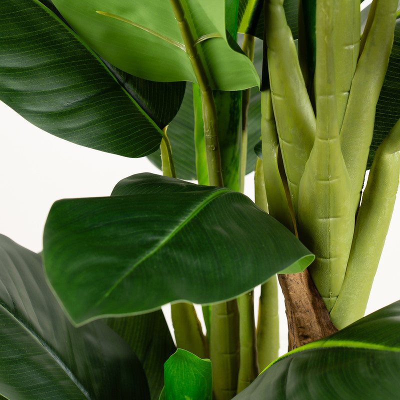 120cm Real Touch Dieffenbachia Plant